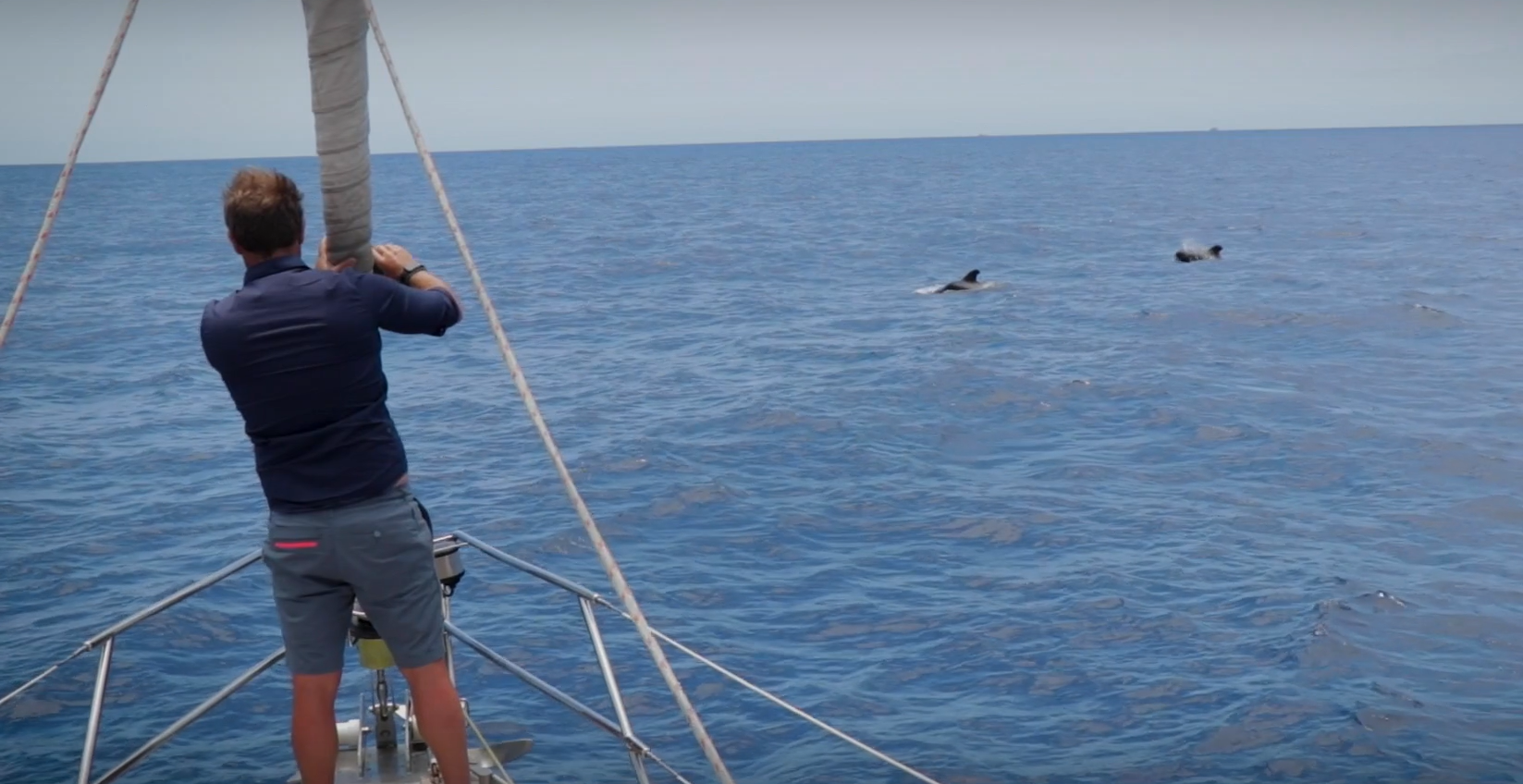 Blue Jack Sail
